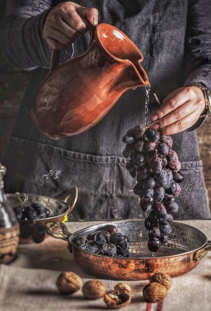 Exclusive Wine Selections | Special Offers from Corbucci