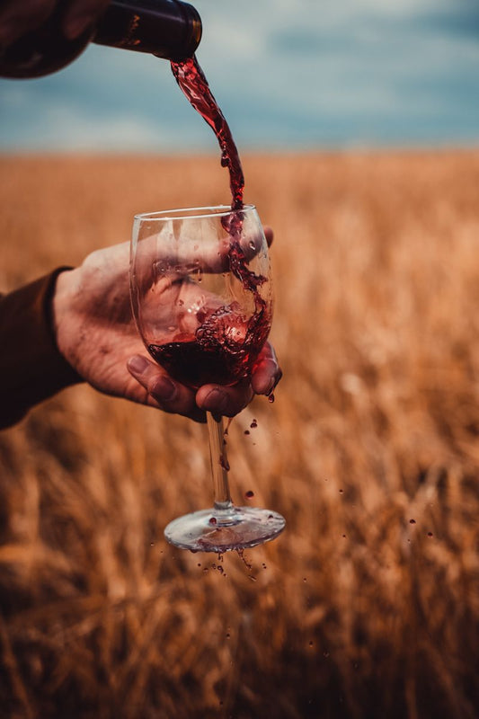 Eccellenza Privata – The Pinnacle of Exclusive Wine Collections