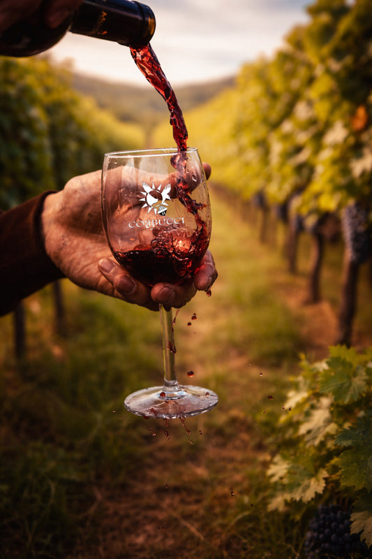 Eccellenza Privata – The Pinnacle of Exclusive Wine Collections